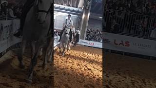 horse cavalli fieracavalliverona [upl. by Nakasuji]