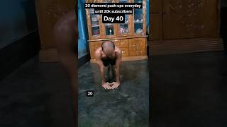 Diamond Pushups✅Day 40 [upl. by Eiznek]