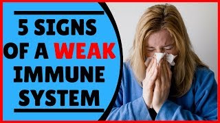 5 signs of weak immune system  Compromised Immune System Symptoms [upl. by Aryt]