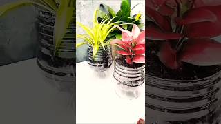 Diy planter using plastic bottle diy bottle craft bottelcraft planter youtubeshorts drama [upl. by Hole123]