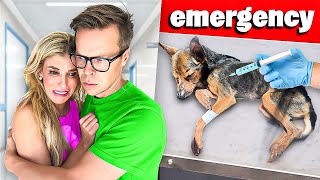 We Rushed Our Dog to the Emergency Room [upl. by Cindi]