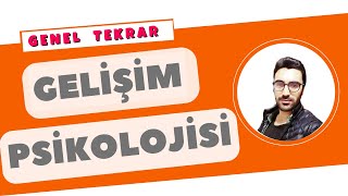 Gelişim Psikolojisi Genel Tekrar  1 saatte gelişim psikolojisini bitir  kpss eğitimhap bilgiler [upl. by Trudnak]