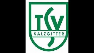 TSV Salzgitter gegen ASV Altenlingen [upl. by Ammann]