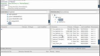 FileZilla SFTP Demonstration [upl. by Ijan]