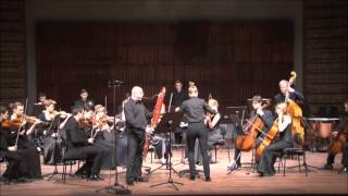 Terje Bjørn Lerstad Concertino for Contrabassoon and Chamber Orchestra IV Movement [upl. by Ermin]