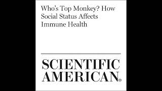 Whos Top Monkey How Social Status Affects Immune Health Audiobook by Catherine Caruso [upl. by Trinity]