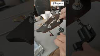 Restringing a Breedlove Acoustic Bass bass bassguitar tutorial breedlove daddario [upl. by Cordi]