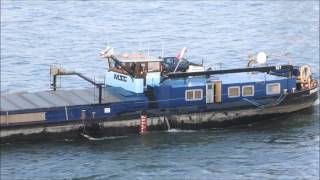 Binnenschiff Bom Voyage auf dem Rhein in Düsseldorf [upl. by Yerggoeg]