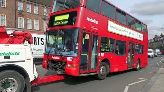 London Buses  Edgware and Golders Green September 2015 [upl. by Shama859]