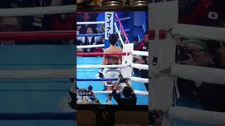 2014年12月30日🔥🔥オマール・ナルバエスvs井上尚弥🔥🔥衝撃2R KO勝利🔥🥊とにかくパンチの音がエグすぎる‼️WBOスーパーフライ級 [upl. by Akiras]