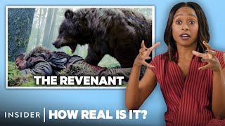 Bear Expert Rates 9 Bear Attacks In Movies And TV  How Real Is It  Insider [upl. by Geer]