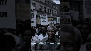 Incredible Journey  NELSON MANDELA shorts motivation nelsonmandelaquotes facts hardships [upl. by Dermott]