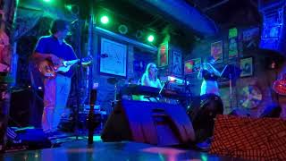 Little Bird Live at Reggies August 2024 [upl. by Dannica]