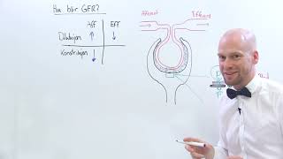 GFR efferent og afferent arteriole [upl. by Attela]