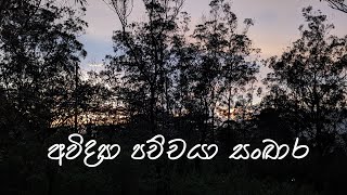 අවිද්‍යා පච්චයා සංඛාර [upl. by Animor]