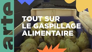 Dossier  le gaspillage alimentaire  ARTE [upl. by Beore]