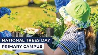 National Trees Day 2024  Varsity College Australia [upl. by Llirpa227]