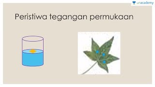 Tegangan Permukaan Fisika  SMA [upl. by Susejedairam]