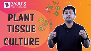 Plant Tissue Culture [upl. by Yajnas]