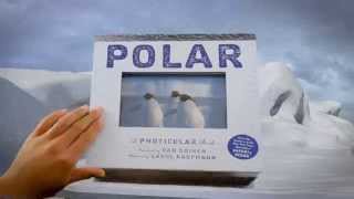 Polar A Photicular Book [upl. by Nahsar]