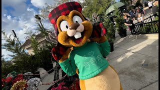 Its Christmas Any Year At Universal Orlando Resort  Earl Tribute Store Parade amp More [upl. by Derek395]