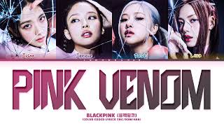 BLACKPINK Pink Venom Lyrics Color Coded Lyrics [upl. by Anilrahc39]