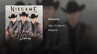 Hijos De Barron Niegame [upl. by Ataymik]