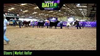 Stierwalt Cattle Battle [upl. by Anilrac]