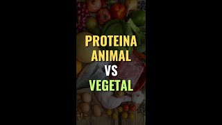 PROTEINA ANIMAL VS VEGETAL 😮✍️💯✔️🥩 [upl. by Eelnayr]