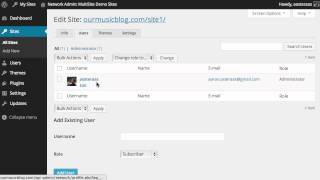 WordPress MultiSite Editing Existing Network Sites [upl. by Saimerej602]