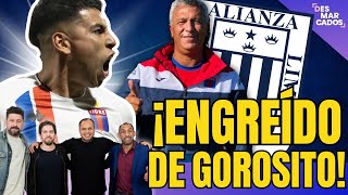 ¡ENGREÍDO DE GOROSITO es opción en ALIANZA LIMA [upl. by Costin]