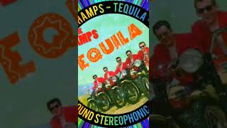 THE CHAMPS  TEQUILA  1958  NEW SOUND STEREOPHONIC  2024 [upl. by Nivled]