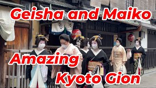 Beautiful Geiko and Maiko in Gion Kyoto [upl. by Roice433]