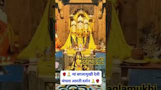 Maa baglamukhi dham Nalkhedaaarti aartivideo live shortvideo aartibhajan baglamukhimata new [upl. by Nnayr598]