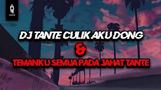 DJ TANTE CULIK AKU DONG X TEMANKU SEMUA PADA JAHAT TANTE REVERB  VIRAL TIKTOK [upl. by Acirre]