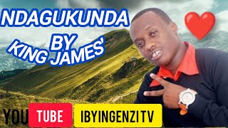 Ndagukunda by king James lyrics [upl. by Ilrak96]