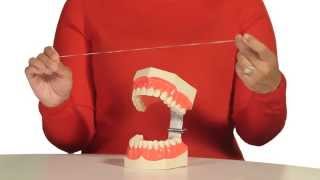 How to Floss Your Teeth [upl. by Jenness590]