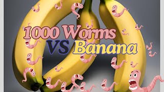 1000 Worms Vs Banana [upl. by Carnay103]