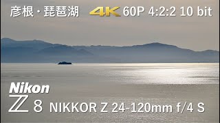 Nikon Z8  NIKKOR Z 24120mm f4 S 2024428 琵琶湖 161 [upl. by Hashim]