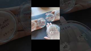 Bacterial Culture Microbiology  Biotechnology [upl. by Aiuqram64]