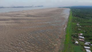 quotSituación críticaquot en afluentes del río Amazonas por sequía en Brasil  AFP [upl. by Simonetta]