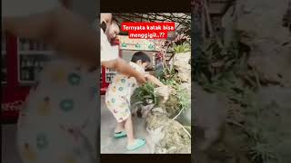 KATAK GIGIT ANAk KECIL  funny viralanakbikintawa comedy [upl. by Soni]