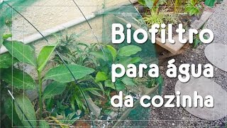 Veja um biofiltro que trata as águas cinzas da cozinha Minutos Extras [upl. by Linda]