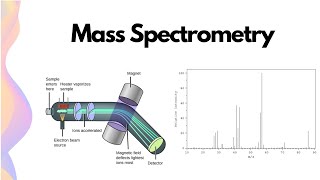 Mass Spectrometry in Organic Chemistry  HSC Chemistry [upl. by Massiw]