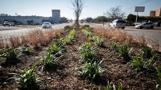 Camp Bowie Blvd gets a makeover thanks to TxDot grant [upl. by Barbur820]