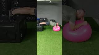 Bodyweight Abs Exercise  Stability Ball Rollouts [upl. by Hsekar]