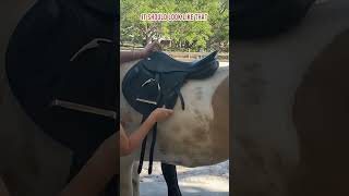 Does your jumping saddle tilt forwards Equestrian Imports [upl. by Lerud42]