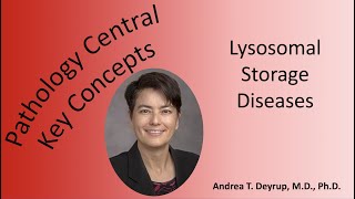 Medical School Pathology Pathophysiology of Lysosomal Storage Diseases [upl. by Clarette]