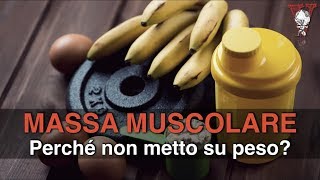 Massa muscolare perchè non cresco [upl. by Soulier]