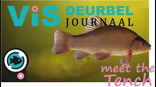 Visdeurbel Journaal  Week 15 Meet the Tench [upl. by Surtimed872]